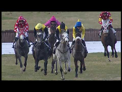 2020-02-16 Corsa 5 Metri 4000 Premio 72° Gran Corsa Siepi Nazionale