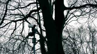 Sandoz aka Richard H Kirk - Glass Factory (from EVERY MAN GOT DREAMING 1995)