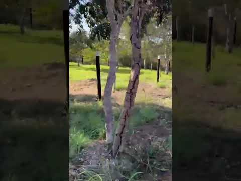 Vendo – casa de porteira fechada no recanto paraíso do manso Chapada dos Guimarães – MT