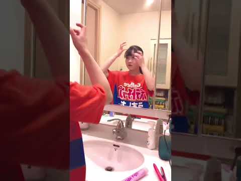 ロングヘアーのコリー