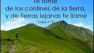 PULSO DEL ANE ENERO 2015