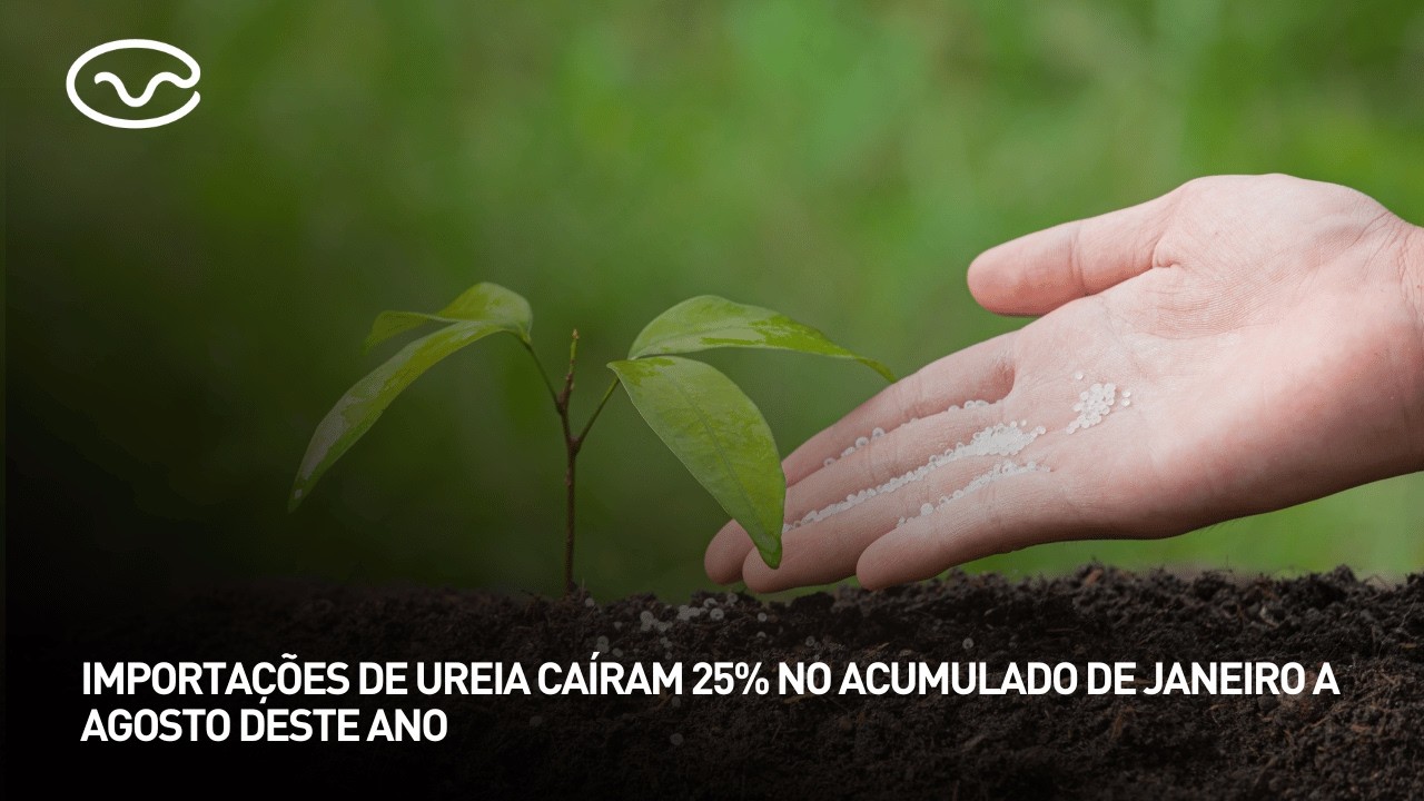 Importações de ureia caíram 25% no acumulado de janeiro a agosto deste ano