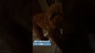 みなさんのご家庭もこんな感じですよね