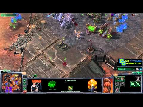 StarCraft 2 Masters 4v4 on Extinction PPTZ v PTZZ