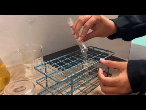 Senior Research Demo Video - Beaver - VanHollebeke