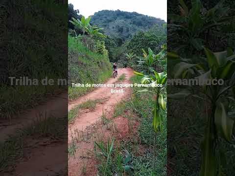 trilha de motos em jaqueira Pernambuco Brasil