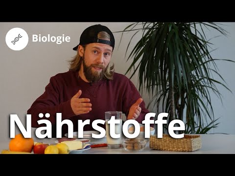 Nährstoffe: Was sind Kohlenhydrate, Vitamine und Fette? – Biologie | Duden Learnattack