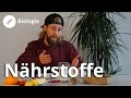 Nährstoffe Was Sind Kohlenhydrate Vitamine Und Fette Biologie Duden Learnattack