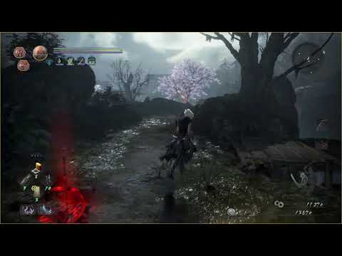Nioh 2 - Why most builds use 30+ Dexterity and Magic