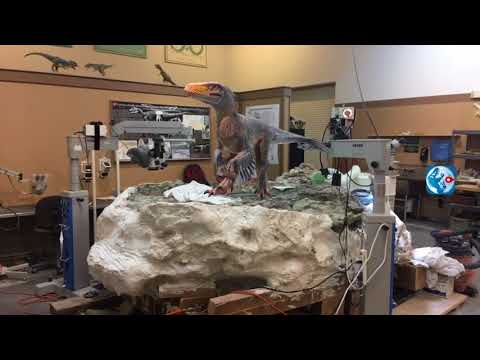 Utahraptor on the Block