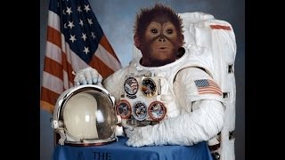 Macawena - Space Monkeys (Original Mix)