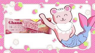 【おすすめアイス】ガーナ甘酸っぱいピンクチョコ&発酵バタークッキー(ロッテ)【Vtuberくまーめいど】