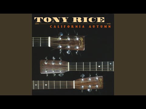 Mr Poverty - Tony Rice