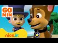 PAW Patrol Pups Save Baby Mayor Humdinger! w/ Skye & Zuma | 60 Minute Compilation | Nick Jr.
