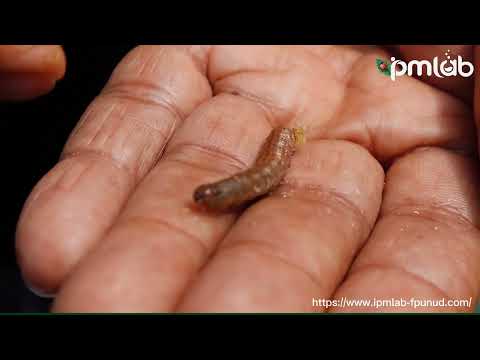 Pengenalan IPM Lab, Fakultas Pertanian, Universitas Udayana