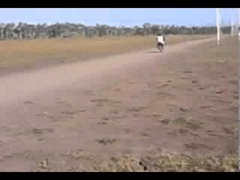 os doidos de Araioses