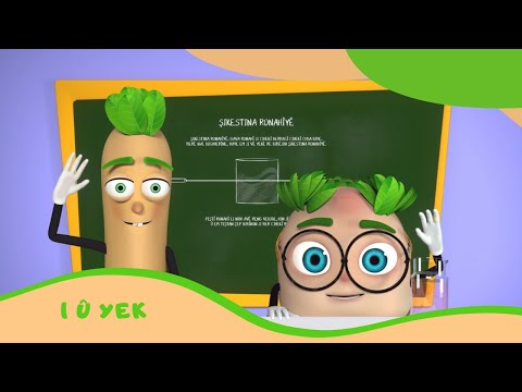 Zarok TV  -  1 Û YEK (BEŞ: 04)