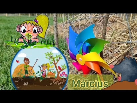 Tankert (5. rész) Vakond és gyermekláncfű is kell a mélymulcsos kertbe