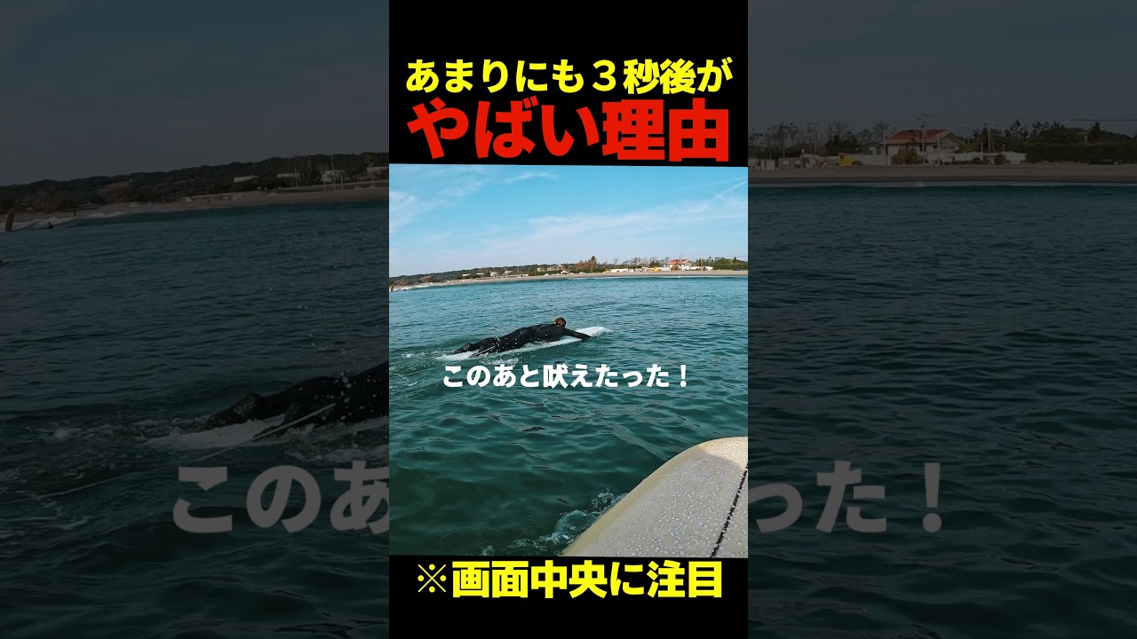 【閲覧必見】あまりにも３秒後がやばい本当の理由#shorts #surf #surfing #サーフィン
