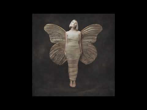 Aurora - Black Water Lilies