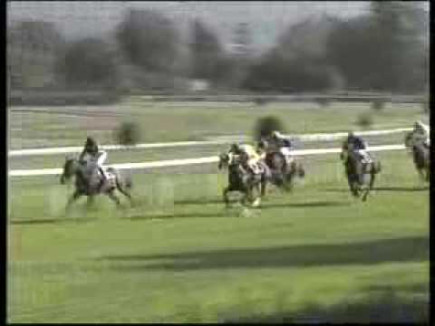 27.09.2009 Velká Chuchle CENA BLACKBERRY