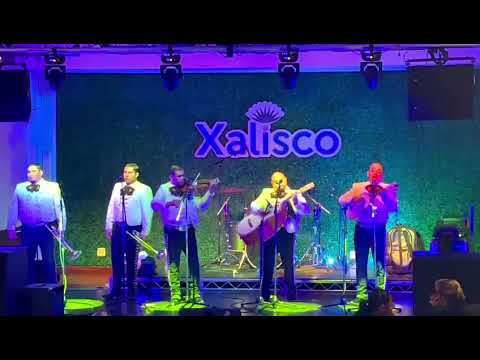 Promotional video thumbnail 7 for Mariachi  Los  Plateados
