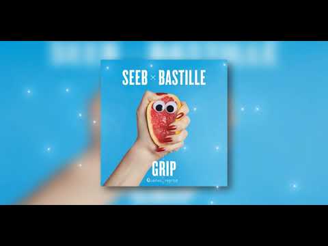 Seeb x Bastille - Grip(Quarius reprise)
