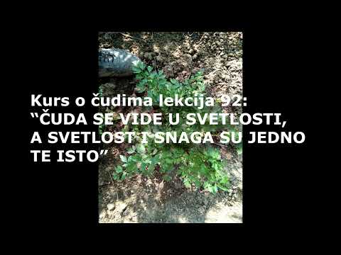 HRISTOVA UČENJA KURS O ČUDIMA LEKCIJA 92