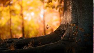 Nappy Roots  - The People