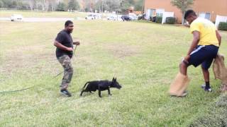 Protection training Lucain van guard trailer