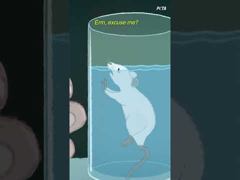 The forced swim test is a barbaric experiment that torments innocent animals.