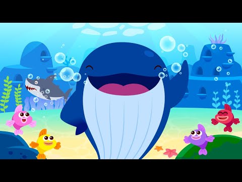 🦈Great Shark vs Blue Whale🐳 | Nursery Rhymes | Sing Along | Kids Songs | Lotty Friends