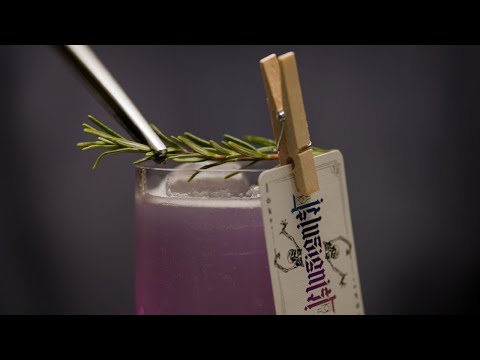 The Illusionist Dry Gin   Rosemary Fizz