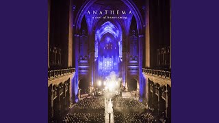 Dreaming Light (Live)