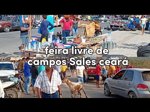 #viral Feira de campos Sales ceará 