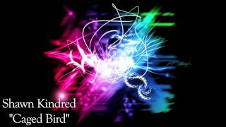 Caged Bird - Shawn Kindred