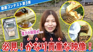 【貴重映像！】第３回動画コンテスト結果発表！テーマ「ハチミツ採取」