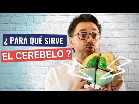 Neuromotricidad y Control Motor. El Cerebelo