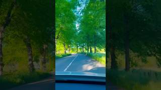 Download lagu Green world beautiful Place | Ma Sha Allah | Mena Mena na kawe #love #duet #shorts mp3