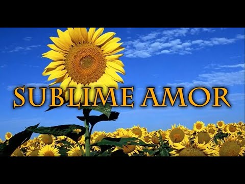 Hino 31: SUBLIME AMOR. Hinário Adventista do Sétimo Dia (Hinário IASD)