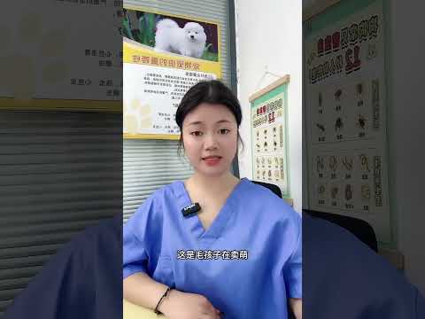 The Secret to Save Your Dog: Thieves' Medicine in Water