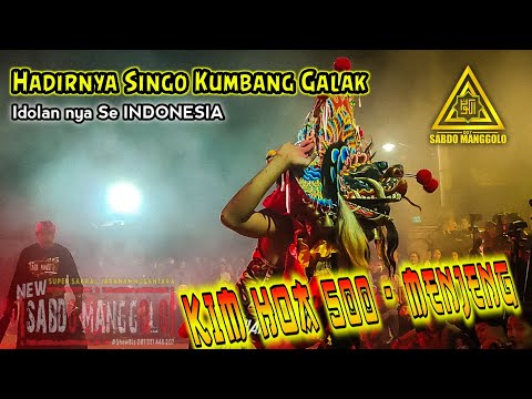 KIM HOA 500 MENJENG Singo Kumbang INDONESIAN - Muncul Kembali Live Bajulan Loceret 2021