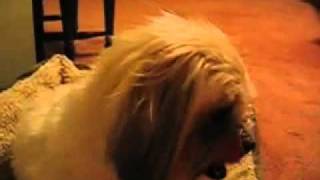 Everybody - Stabilo Boss