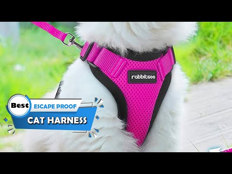 Top 5 Best Escape Proof Cat Harness [Review] - Cat Harness and Leash/Holster Cat Harness [2022]