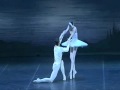 Swan Lake Main Theme