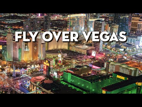 Savory Bites & Neon Lights secondary video