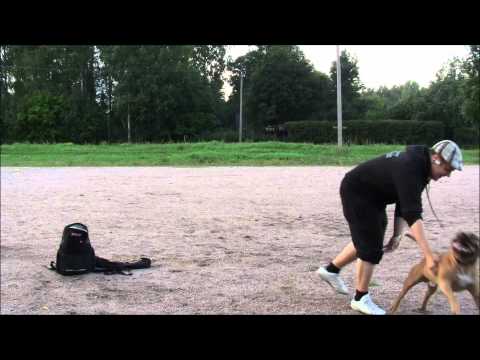 Toro - Temppuja 2011 kesa