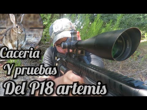 P18 artemis caceria y tiros chile 2020