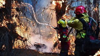 La Patagonia pierde al menos 52.000 hectáreas por incendios provocados