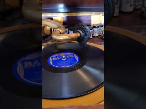 Would You Like To Take a Walk - (vocal Chick Bullock) Jack Bergers Hotel Astor Orchestra